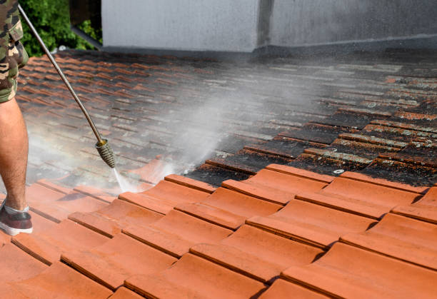 Best Power Washing Near Me  in Sturgeon, PA